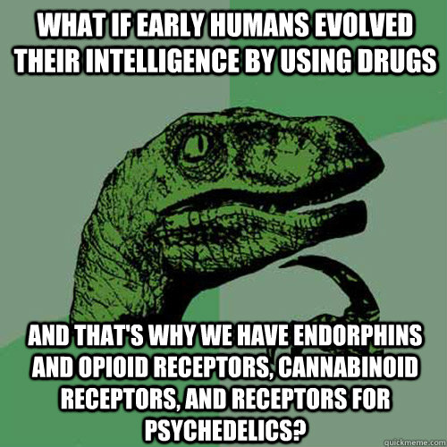 What if early humans evolved their intelligence by using drugs and that's why we have endorphins and opioid receptors, cannabinoid receptors, and receptors for psychedelics?  Philosoraptor