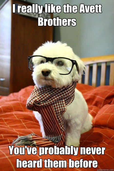 I really like the Avett Brothers You've probably never heard them before  Hipster Dog