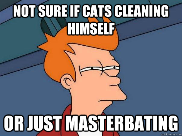 not sure if cats cleaning himself or just masterbating  Futurama Fry