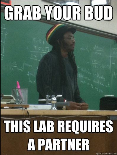 Grab your bud this lab requires a partner - Grab your bud this lab requires a partner  Rasta Science Teacher