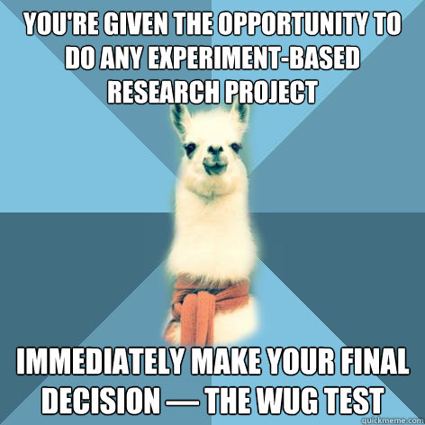 You're given the opportunity to do any experiment-based research project Immediately make your final decision — The Wug Test  Linguist Llama