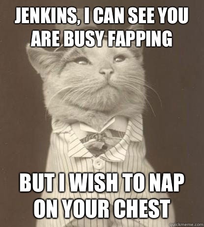 Jenkins, I can see you are busy fapping But I wish to nap on your chest  Aristocat