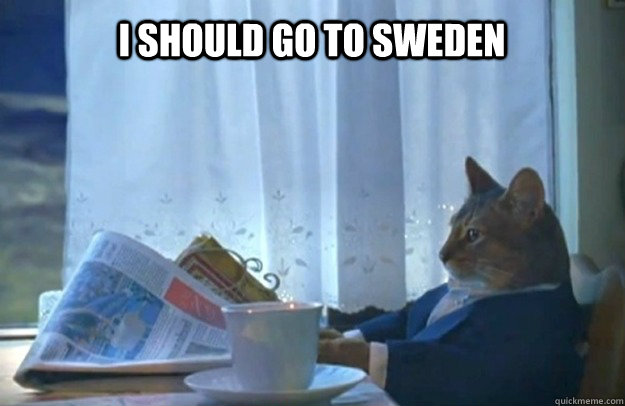 I should go to Sweden  Sophisticated Cat