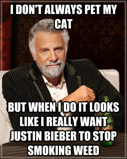 I don't always pet my cat But when i do it looks like i really want justin bieber to stop smoking weed  The Most Interesting Man In The World