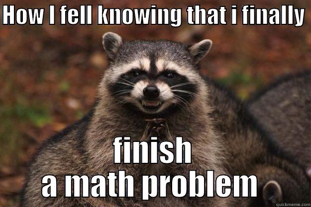 HOW I FELL KNOWING THAT I FINALLY  FINISH A MATH PROBLEM  Evil Plotting Raccoon