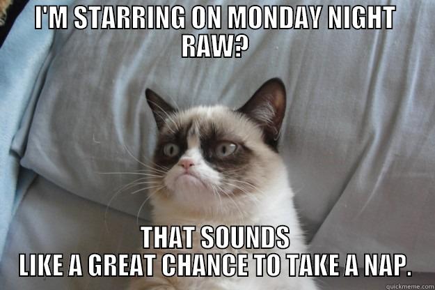 I'M STARRING ON MONDAY NIGHT RAW? THAT SOUNDS LIKE A GREAT CHANCE TO TAKE A NAP. Grumpy Cat