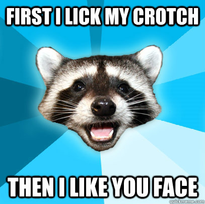 FIRST I LICK MY CROTCH THEN I LIKE YOU FACE - FIRST I LICK MY CROTCH THEN I LIKE YOU FACE  Lame Pun Coon