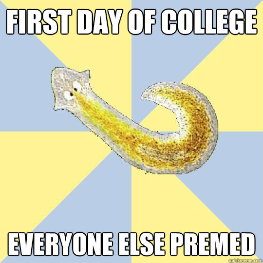 first day of college everyone else premed  Bio Major Planarian