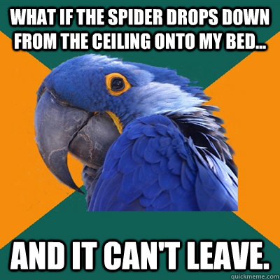 What if the spider drops down from the ceiling onto my bed... and it can't leave. - What if the spider drops down from the ceiling onto my bed... and it can't leave.  Paranoid Parrot