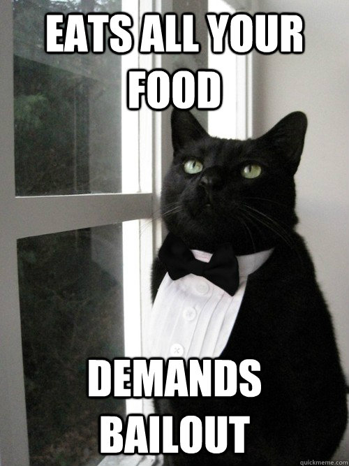 eats all your food demands bailout  One Percent Cat