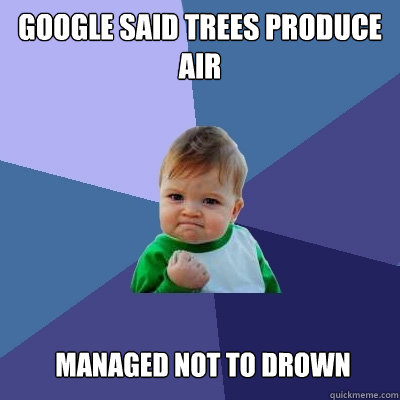 Google said trees produce air managed not to drown  Success Kid