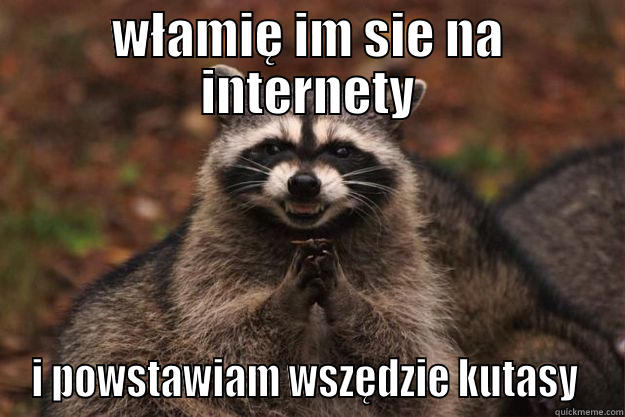 piti hakier - WŁAMIĘ IM SIE NA INTERNETY I POWSTAWIAM WSZĘDZIE KUTASY  Evil Plotting Raccoon