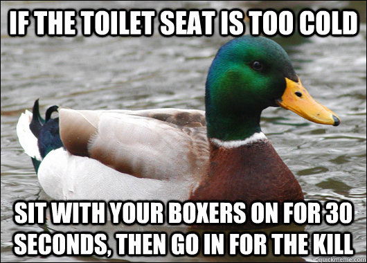 If the toilet seat is too cold sit with your boxers on for 30 seconds, then go in for the kill - If the toilet seat is too cold sit with your boxers on for 30 seconds, then go in for the kill  Actual Advice Mallard