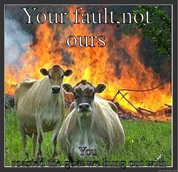 YOUR FAULT,NOT OURS YOU  ROASTED THE GOAT WE HUNG OUT WITH Evil cows