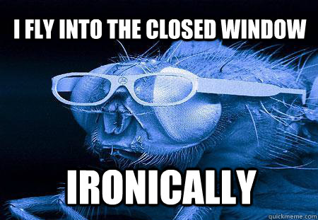 I fly into the closed window Ironically  - I fly into the closed window Ironically   Hipster Fly