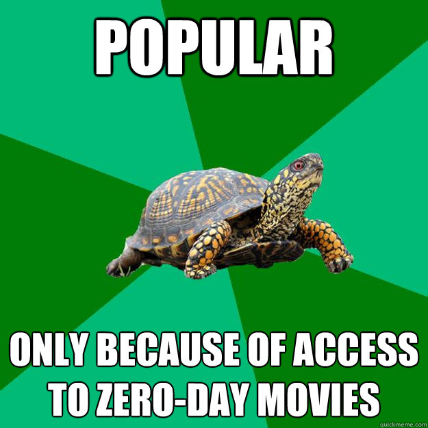 Popular Only because of access to zero-day movies  Torrenting Turtle