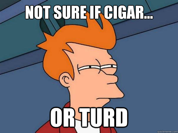 Not sure if cigar... Or turd  Futurama Fry