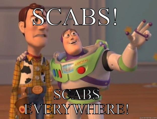 SCABS! SCABS EVERYWHERE! Toy Story