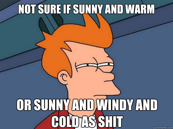 Not sure if sunny and warm or sunny and windy and cold as shit - Not sure if sunny and warm or sunny and windy and cold as shit  Futurama Fry