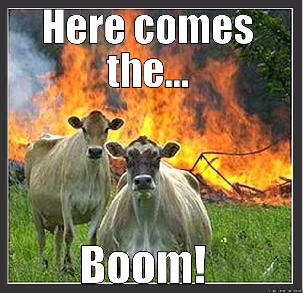 boom boom  - HERE COMES THE... BOOM!  Evil cows
