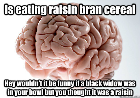 Is eating raisin bran cereal Hey wouldn't it be funny if a black widow was in your bowl but you thought it was a raisin   Scumbag Brain