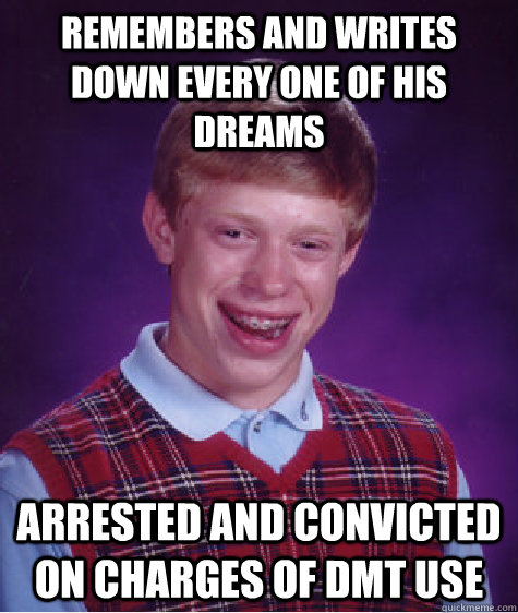 remembers and writes down every one of his dreams arrested and convicted on charges of DMT use - remembers and writes down every one of his dreams arrested and convicted on charges of DMT use  Bad Luck Brian