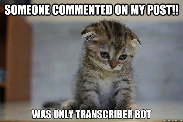 someone commented on my post!! was only transcriber bot  