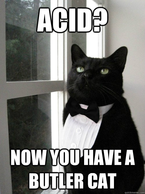 acid? now you have a butler cat  One Percent Cat