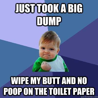 Just took a big dump wipe my butt and no poop on the toilet paper  Success Kid