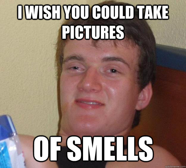 I wish you could take pictures of smells  10 Guy