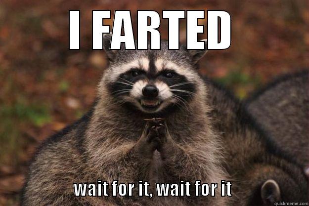 I FARTED                                                                                                  WAIT FOR IT, WAIT FOR IT                      Evil Plotting Raccoon