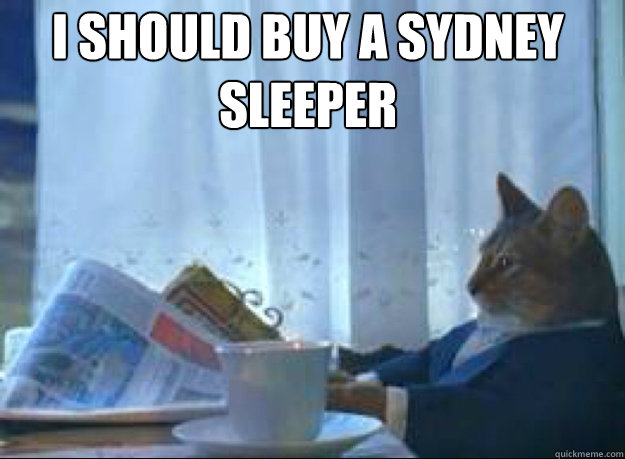 I should buy a Sydney Sleeper   I should buy a boat cat