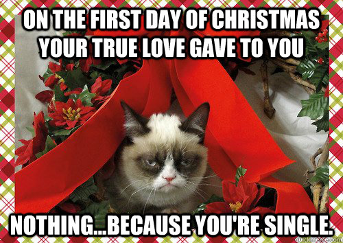 On the first day of Christmas your true love gave to you Nothing...because you're single.  A Grumpy Cat Christmas