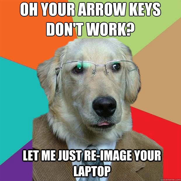 Oh your arrow keys don't work?
 Let me just re-image your laptop  Business Dog