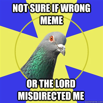 not sure if wrong meme or the lord misdirected me  Religion Pigeon