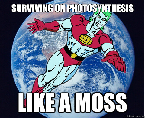 Surviving on Photosynthesis  Like a moss - Surviving on Photosynthesis  Like a moss  Misc