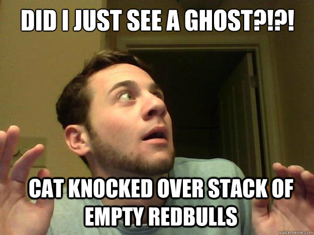 Did I just see a ghost?!?! Cat knocked over stack of empty redbulls  Sleep Deprived Chris