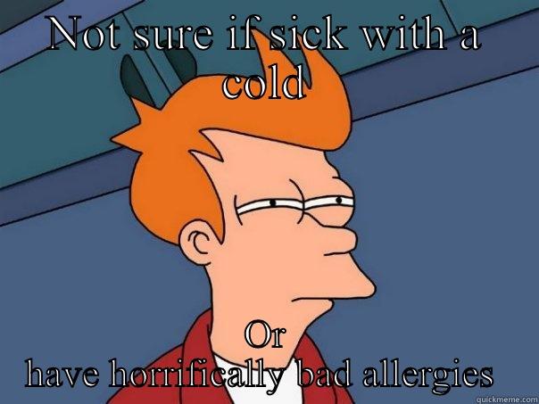 NOT SURE IF SICK WITH A COLD OR HAVE HORRIFICALLY BAD ALLERGIES  Futurama Fry