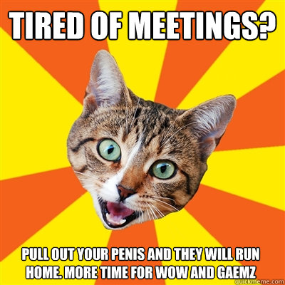 Tired of meetings? Pull out your penis and they will run home. More time for wow and gaemz  Bad Advice Cat