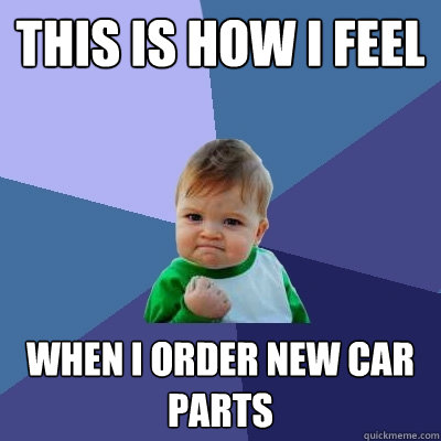 This is how i feel when i order new car parts  Success Kid