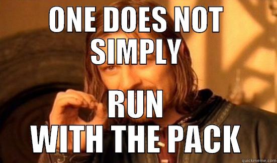 ONE DOES NOT SIMPLY RUN WITH THE PACK Boromir