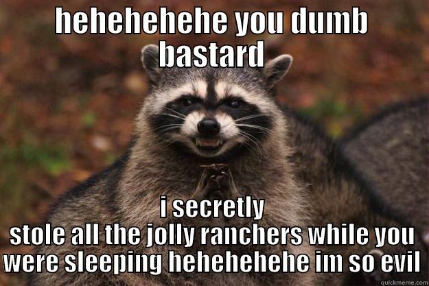 HEHEHEHEHE YOU DUMB BASTARD I SECRETLY STOLE ALL THE JOLLY RANCHERS WHILE YOU WERE SLEEPING HEHEHEHEHE IM SO EVIL Evil Plotting Raccoon