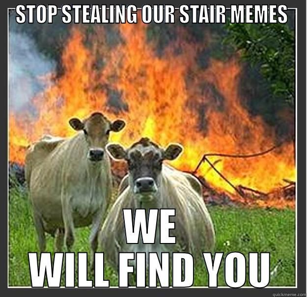 STOP STEALING OUR STAIR MEMES WE WILL FIND YOU Evil cows