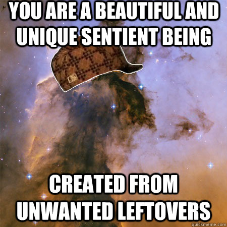 you are a beautiful and unique sentient being created from unwanted leftovers   Scumbag Universe