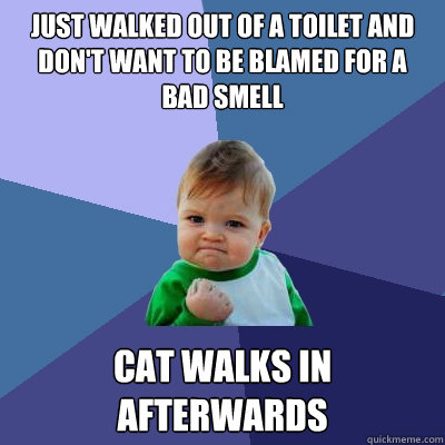 Just walked out of a toilet and don't want to be blamed for a bad smell Cat walks in afterwards  Success Kid