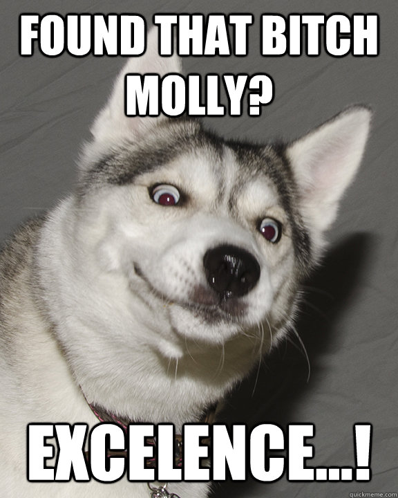 Found that bitch molly? EXcelence...!  molly