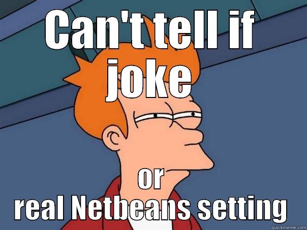 CAN'T TELL IF JOKE OR REAL NETBEANS SETTING Futurama Fry