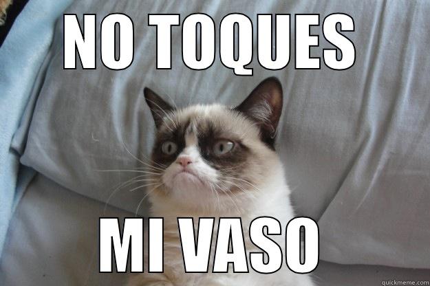 NO TOQUES MI VASO Grumpy Cat