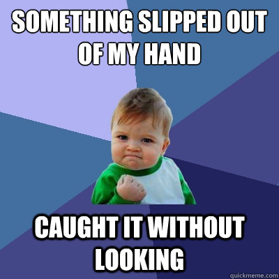 Something slipped out of my hand Caught it without looking  Success Kid