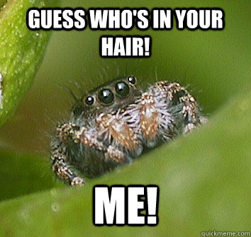 Guess who's in your hair! ME!  Misunderstood Spider